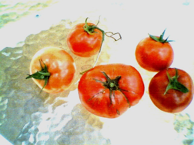 Photo022.jpg