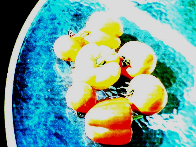 Photo003.jpg
