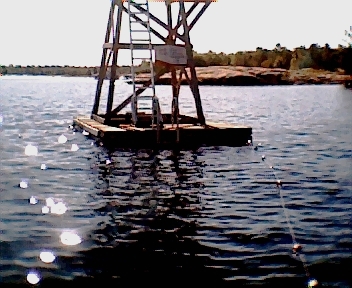 1999.jpg