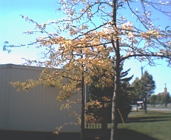 011.jpg