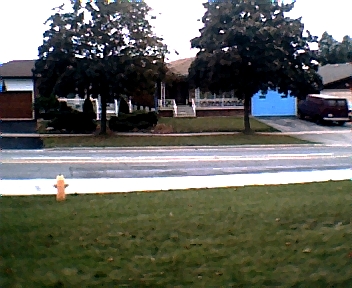 010.jpg