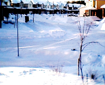 009.jpg