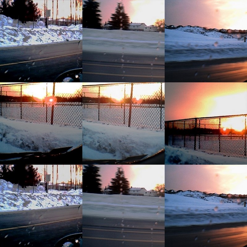 collage98.jpg