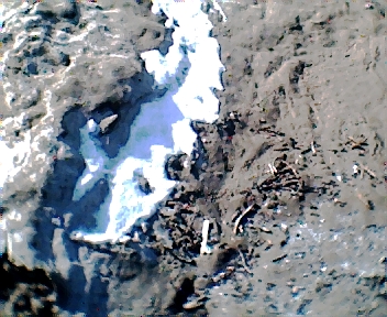 3006.jpg