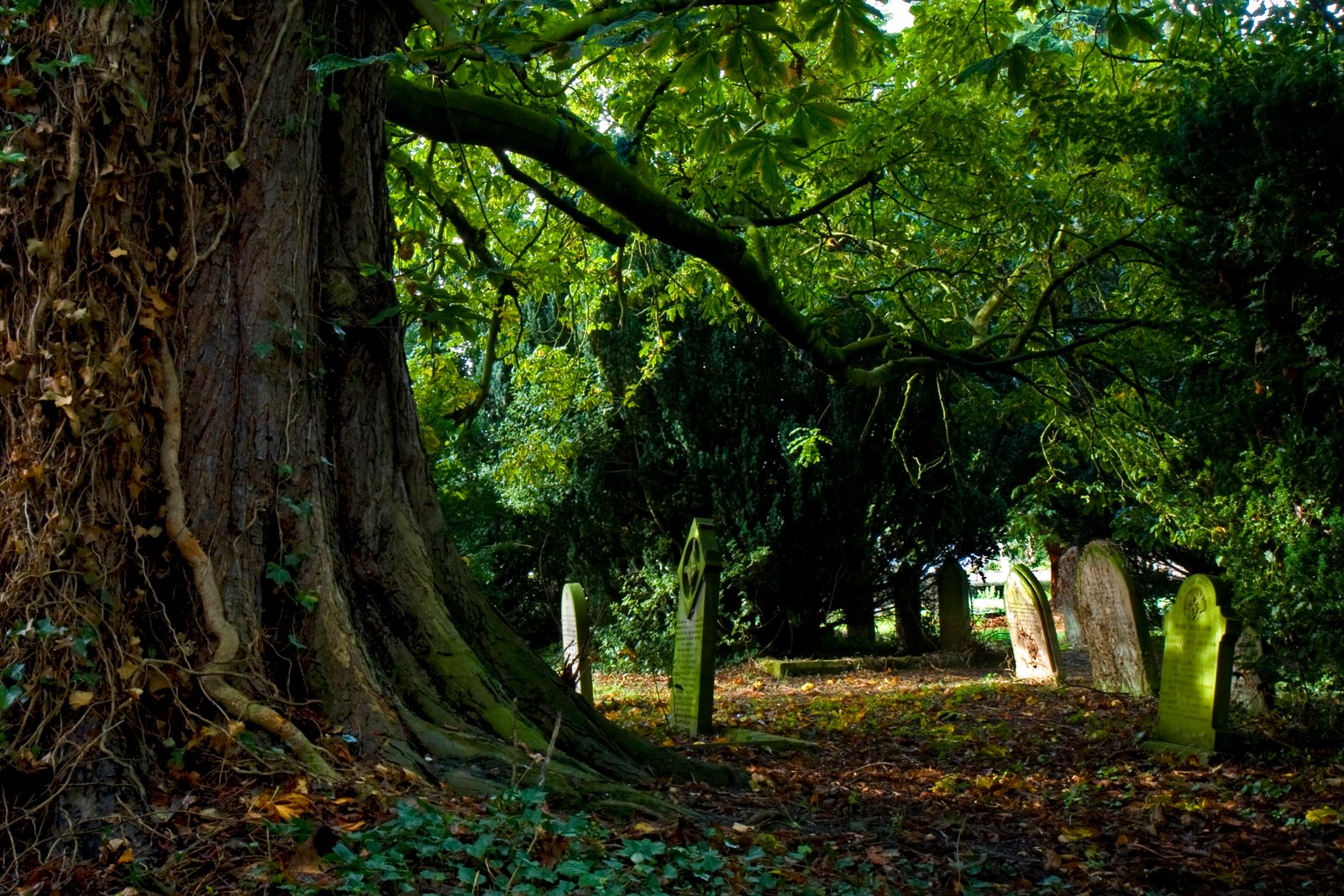 Conkers in the Grave Yard