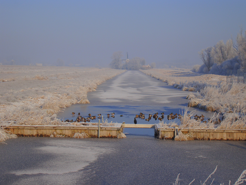 winters beeld