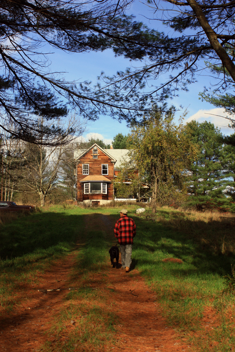 Country Stroll