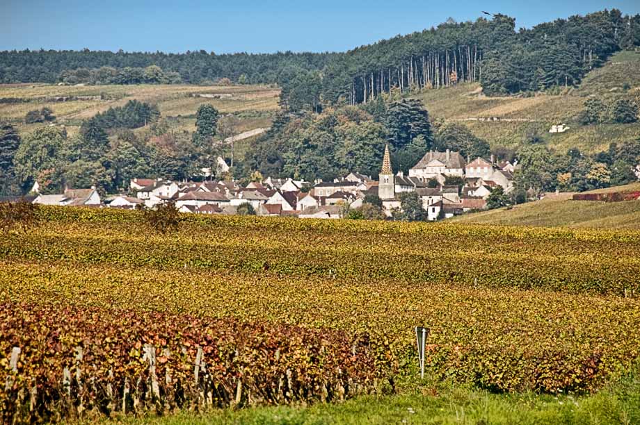 Small wine village