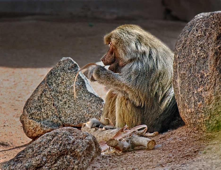 Snack time