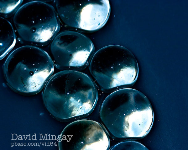 Feb 1: Microscopic