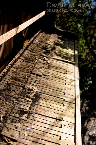 Piano in the woods