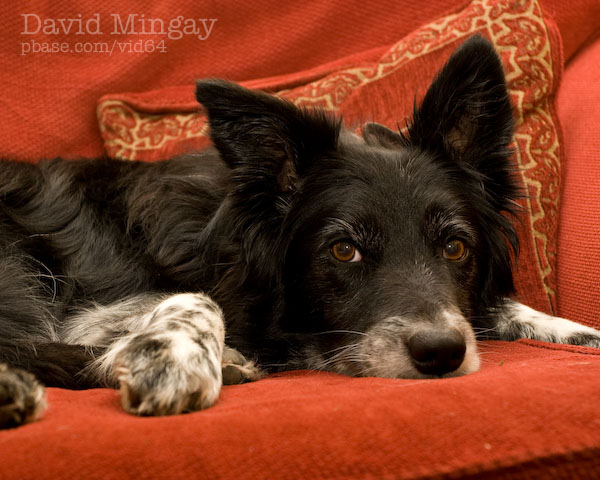 Sep 3: In my chair