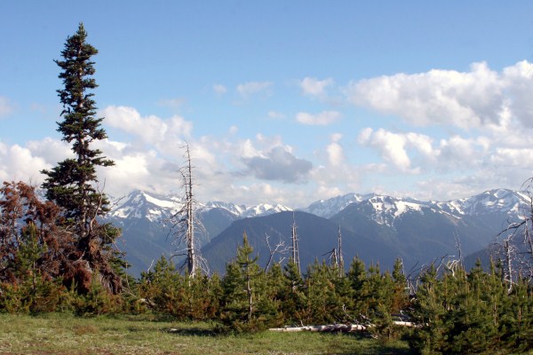 Deer Park in the Olympic National Park 04