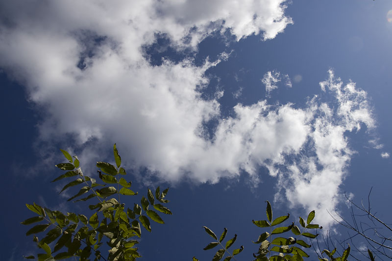perfect autumn sky, far more than 2/3 of the frame