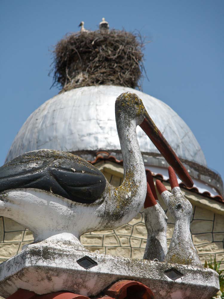 Storks on a church roof