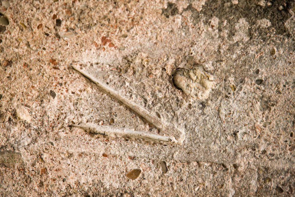 Imprint of Roman tool