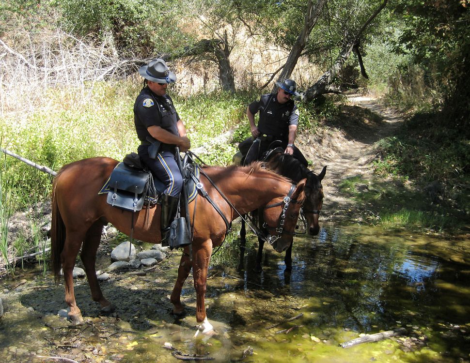 Encounters on the trail