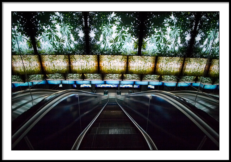 Mirrored escalator