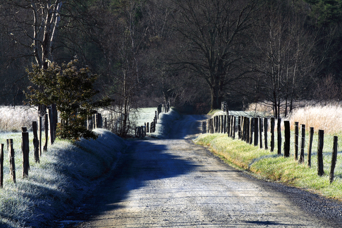Another view of a frosty Sparks Lane