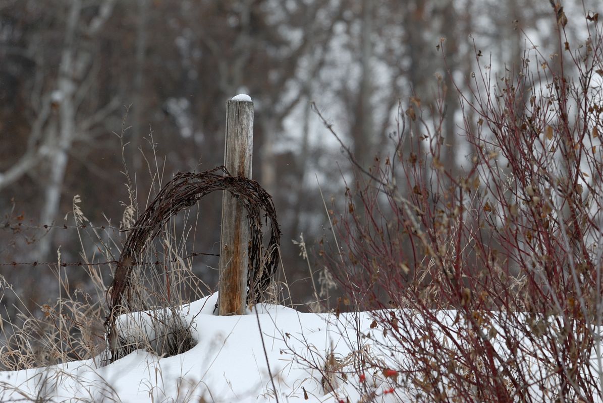 DSC_2907.jpg