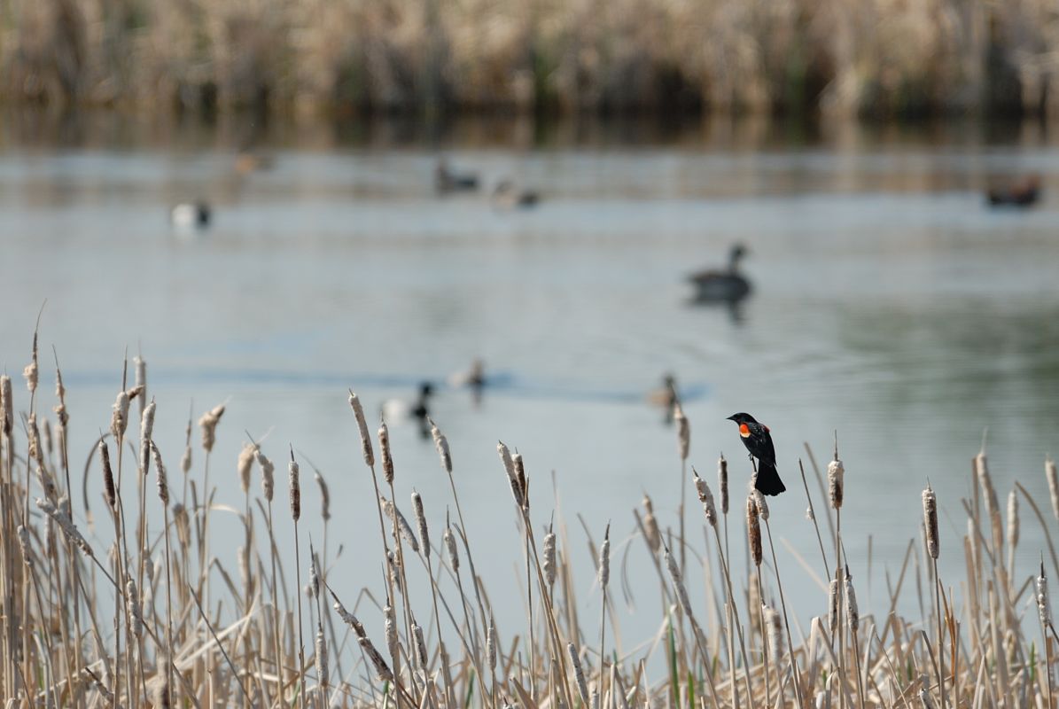 DSC_1961.jpg