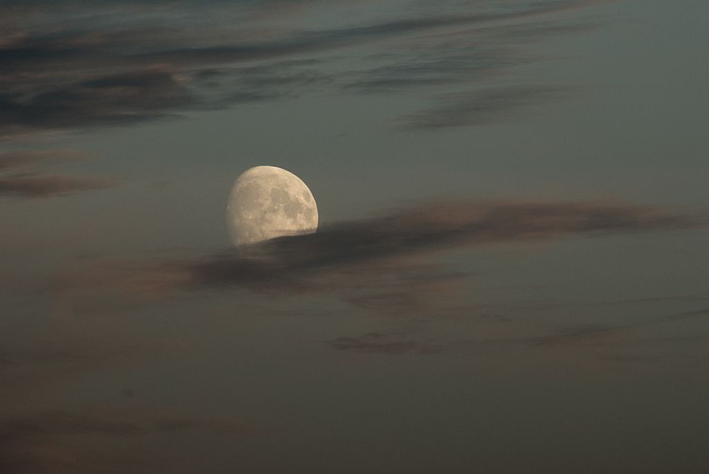 DSC_4364.jpg