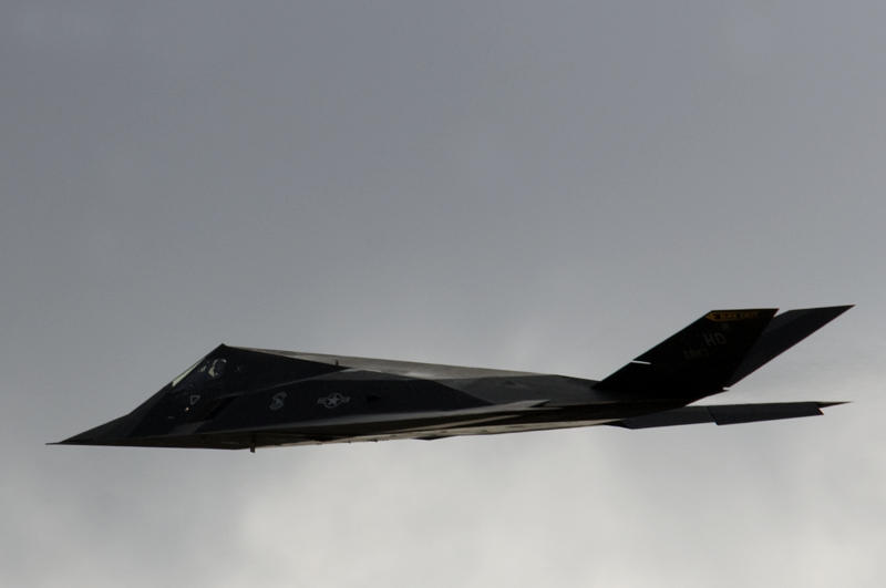 F-117 Nighthawk Stealth Fighter