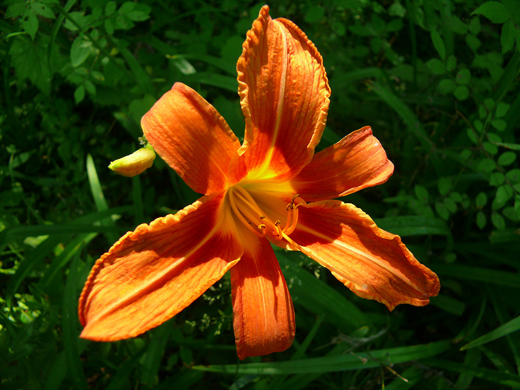P1030397Web.jpg