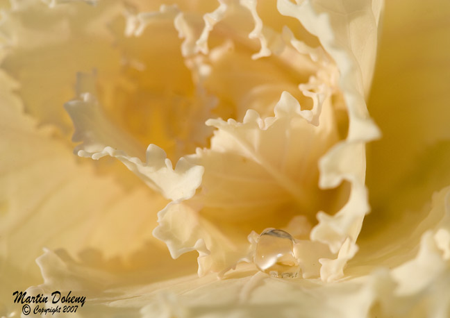 Droplet 4
