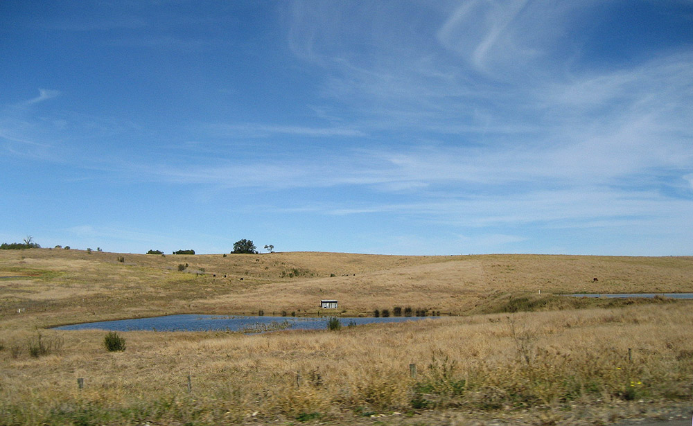 roadside view