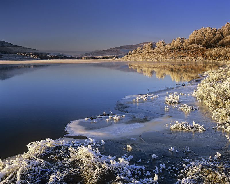 Honey Loch Achanalt