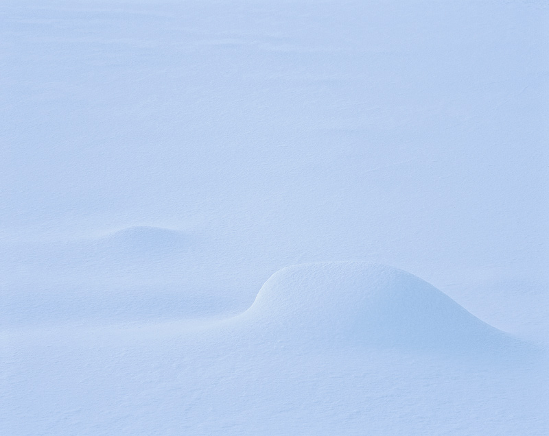 A Winter Whisper