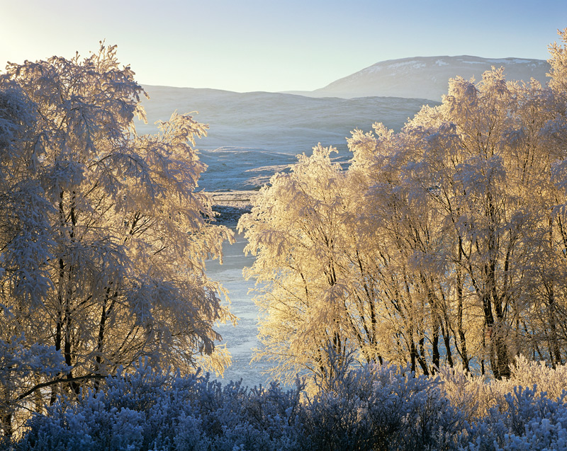 Winter Loch Achanalt