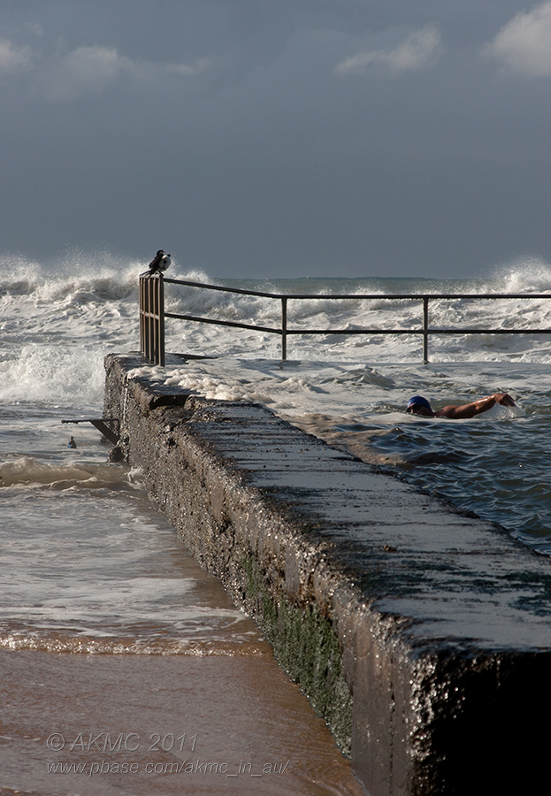 110723_091719_18765 The Storm, The Swimmer And The Spectators (Sat 23 Jul)