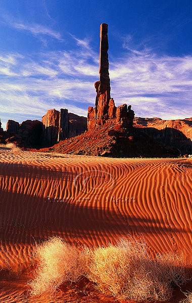 totem poles morning vertical 2.jpg
