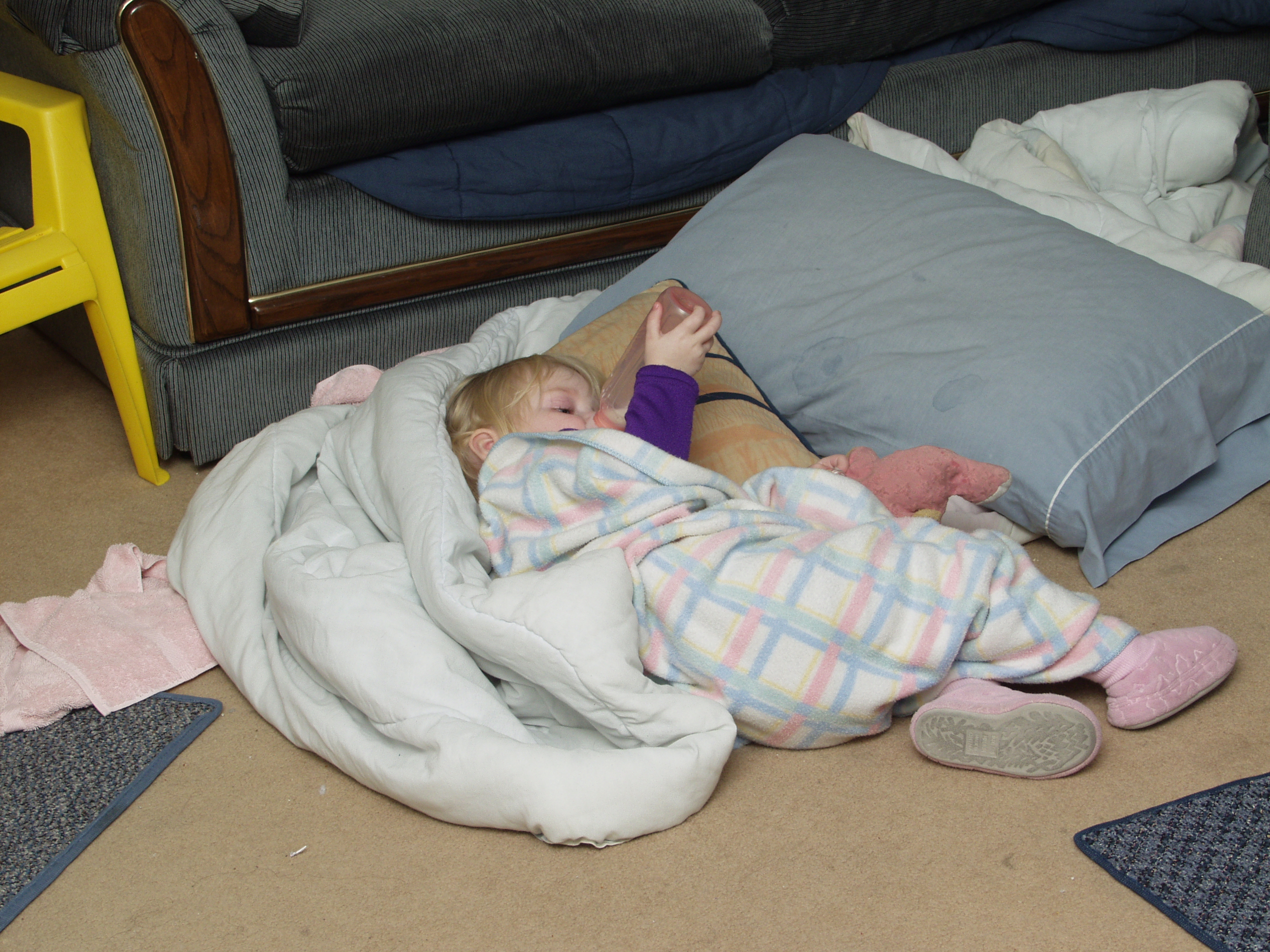 P1233945.JPG