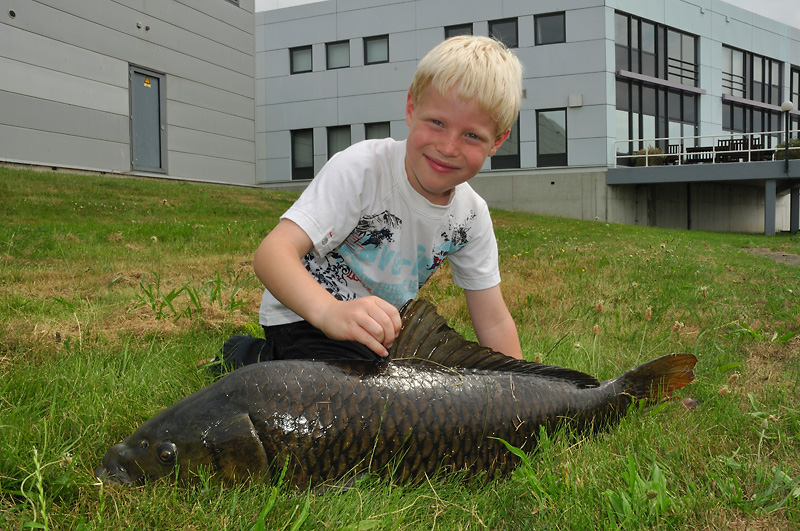 Boerenkarper (?), 84 cm, gezamelijk gevangen