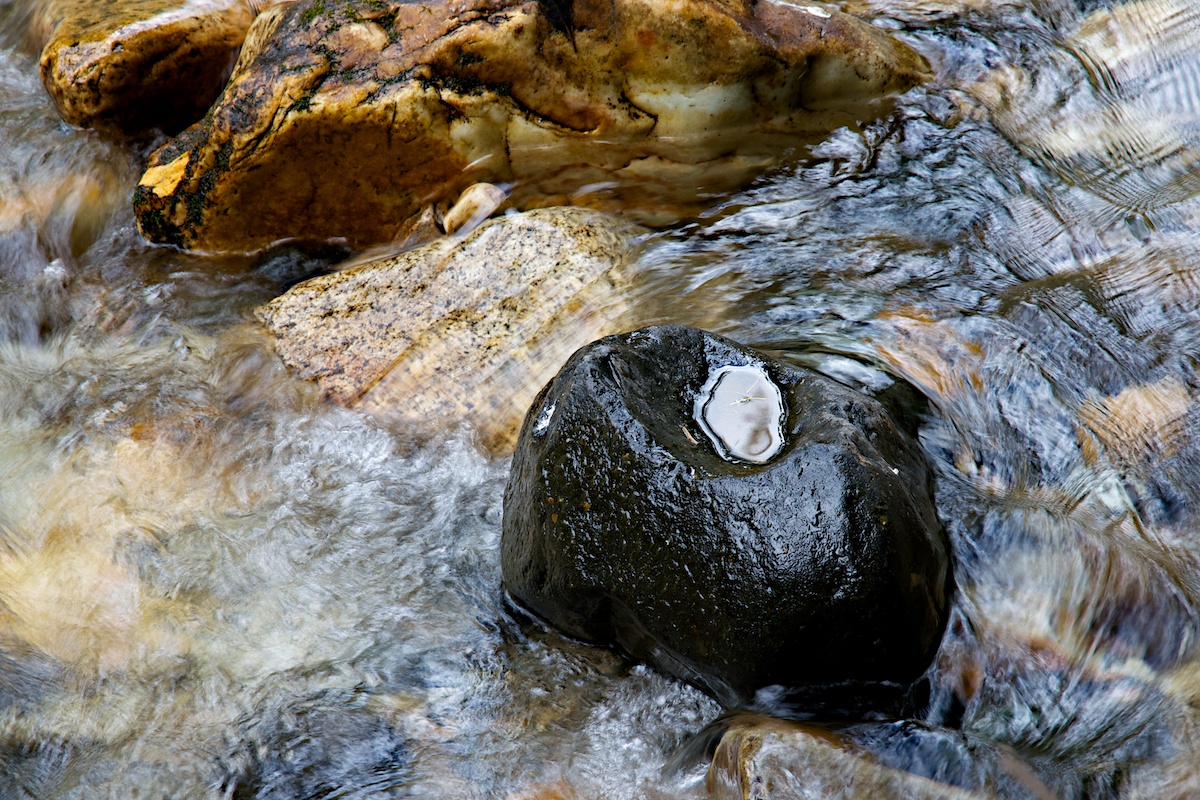 Motion and Stillness