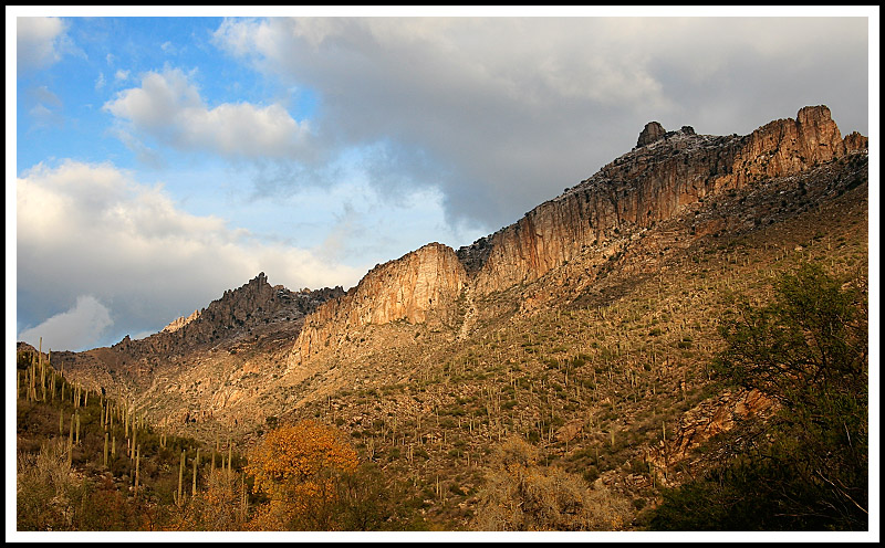 Sabino Canyon