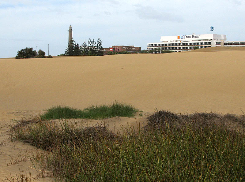maspalomas dunes