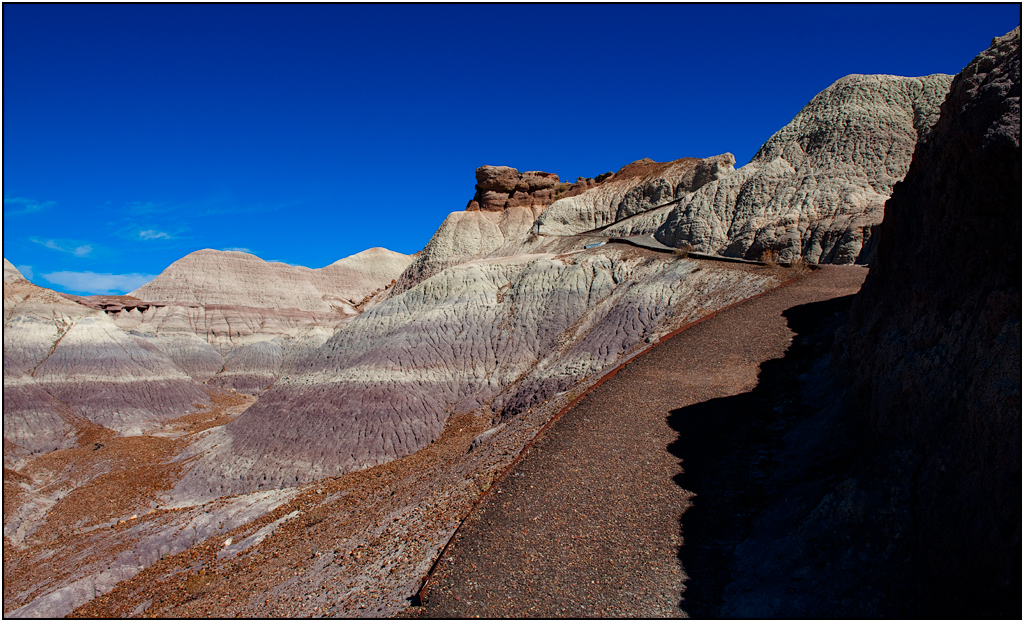 Blue Mesa Trail