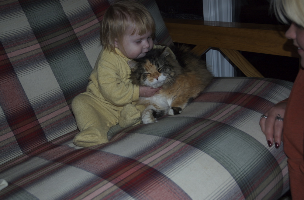 DSC_1194.jpg