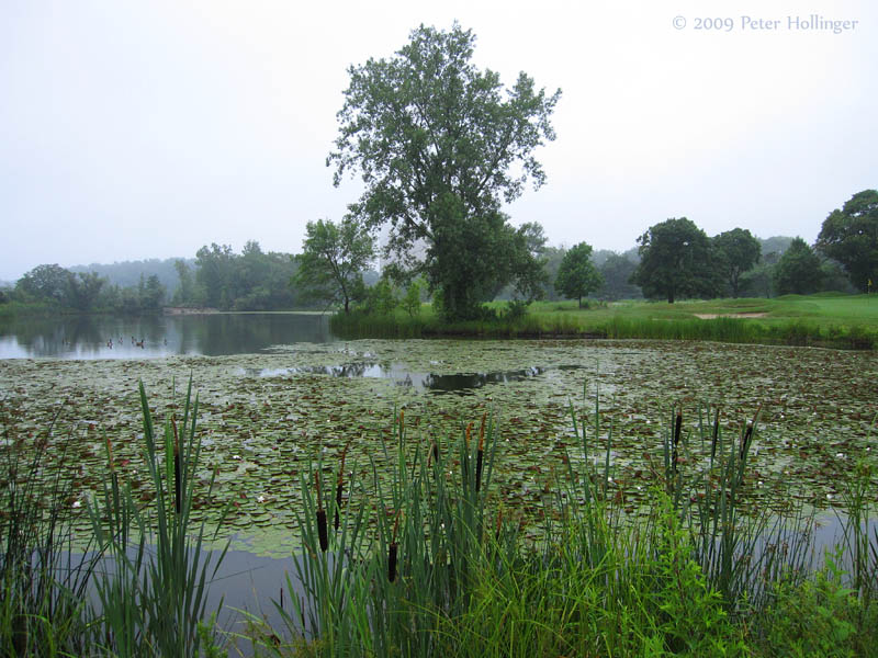 Little Pond