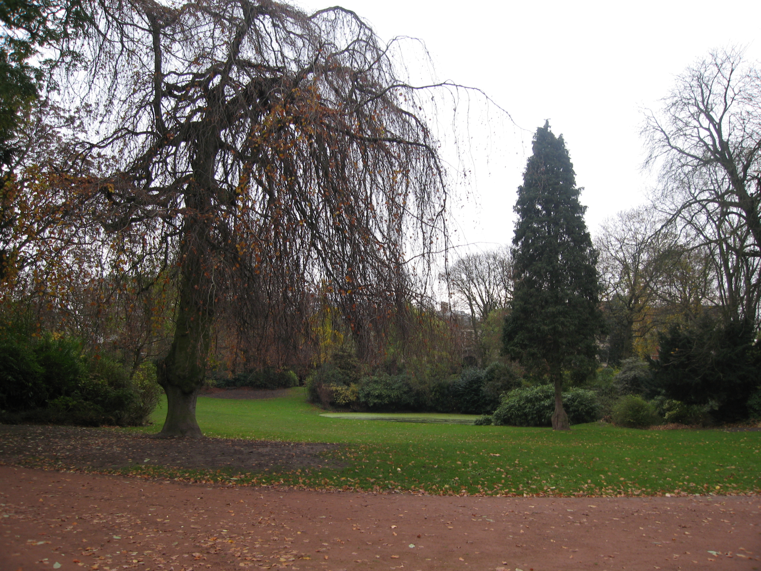 LILLE    Jardin Vauban le 28 novembre 2006 007.jpg