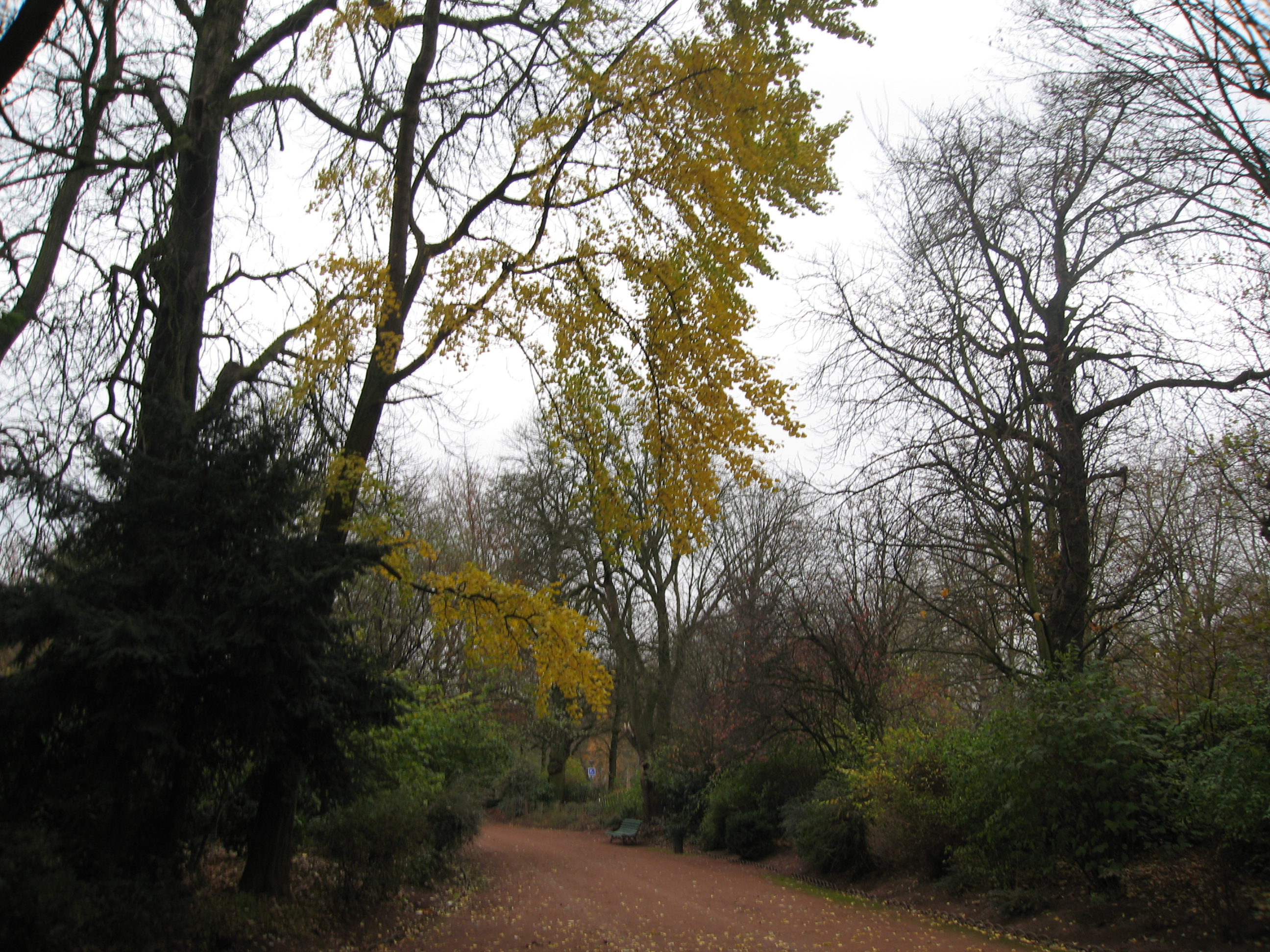 LILLE    Jardin Vauban le 28 novembre 2006 009.jpg