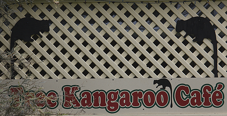 Tree Kangaroo Cafe