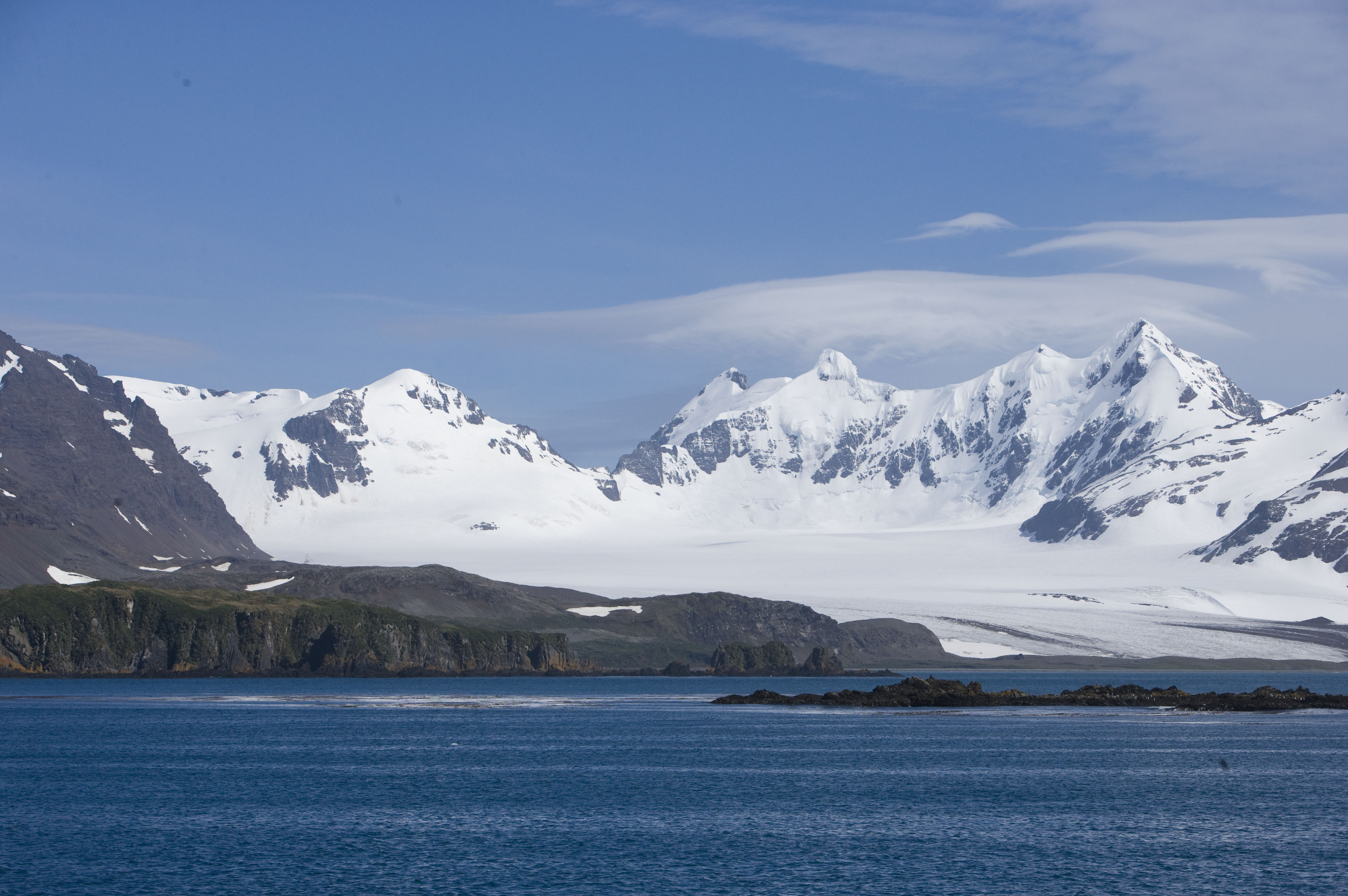Coast near Prion Island
