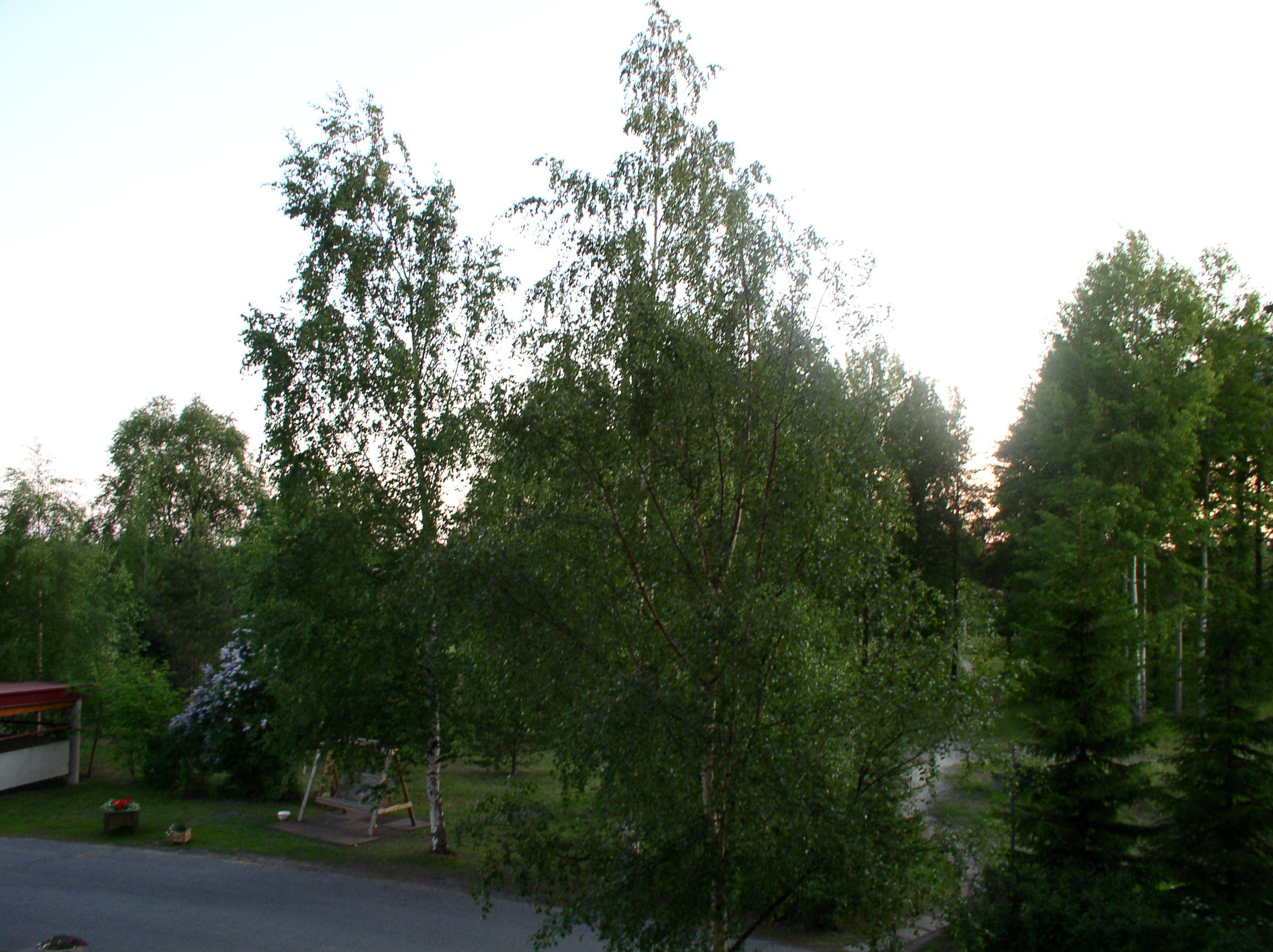 P1010019.JPG