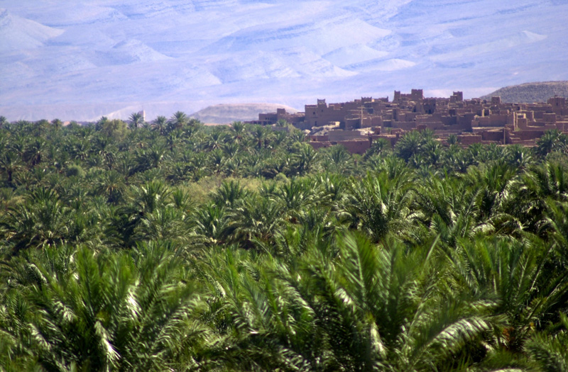 Valle du Draa