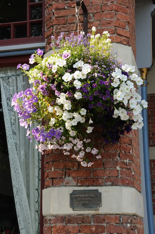 DSC_8007.JPG